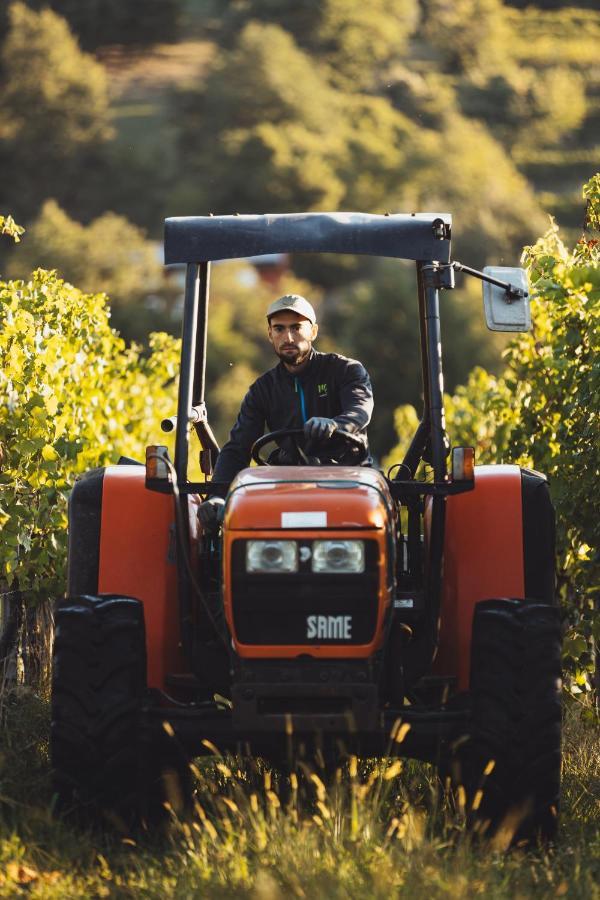 Il Roncal Wine Resort - For Wine Lovers ชิวีดาเล เดล ฟรีอูลี ภายนอก รูปภาพ