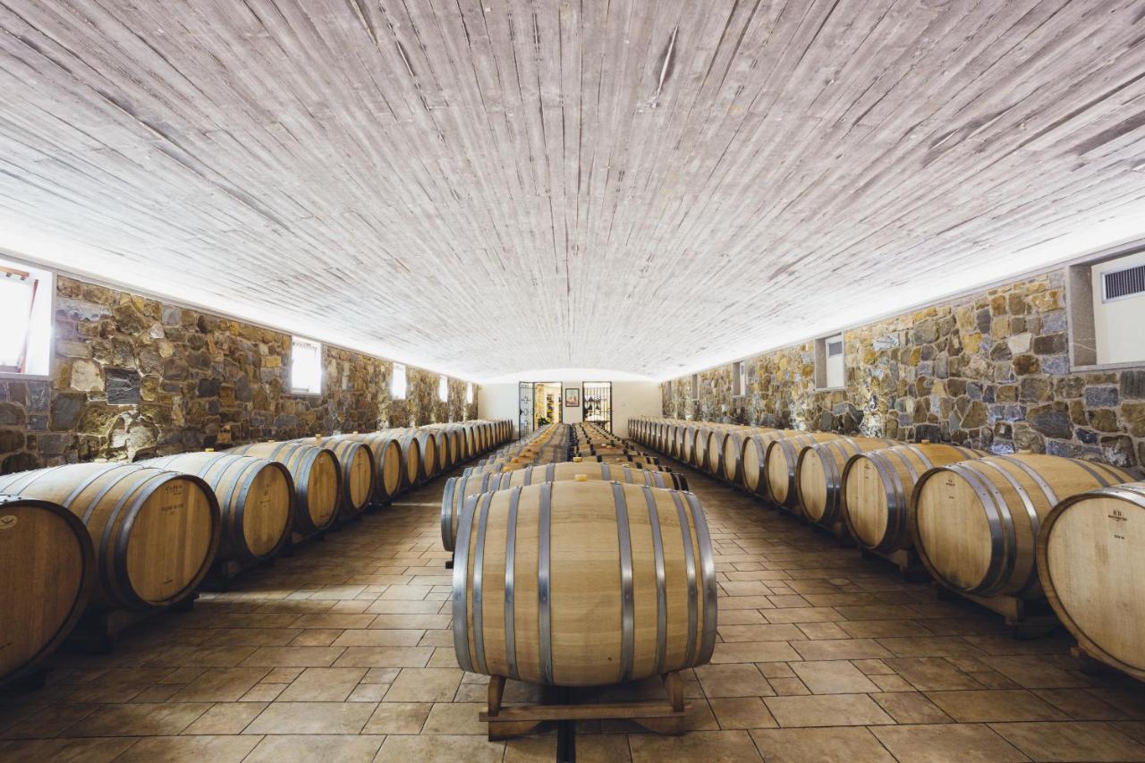 Il Roncal Wine Resort - For Wine Lovers ชิวีดาเล เดล ฟรีอูลี ภายนอก รูปภาพ