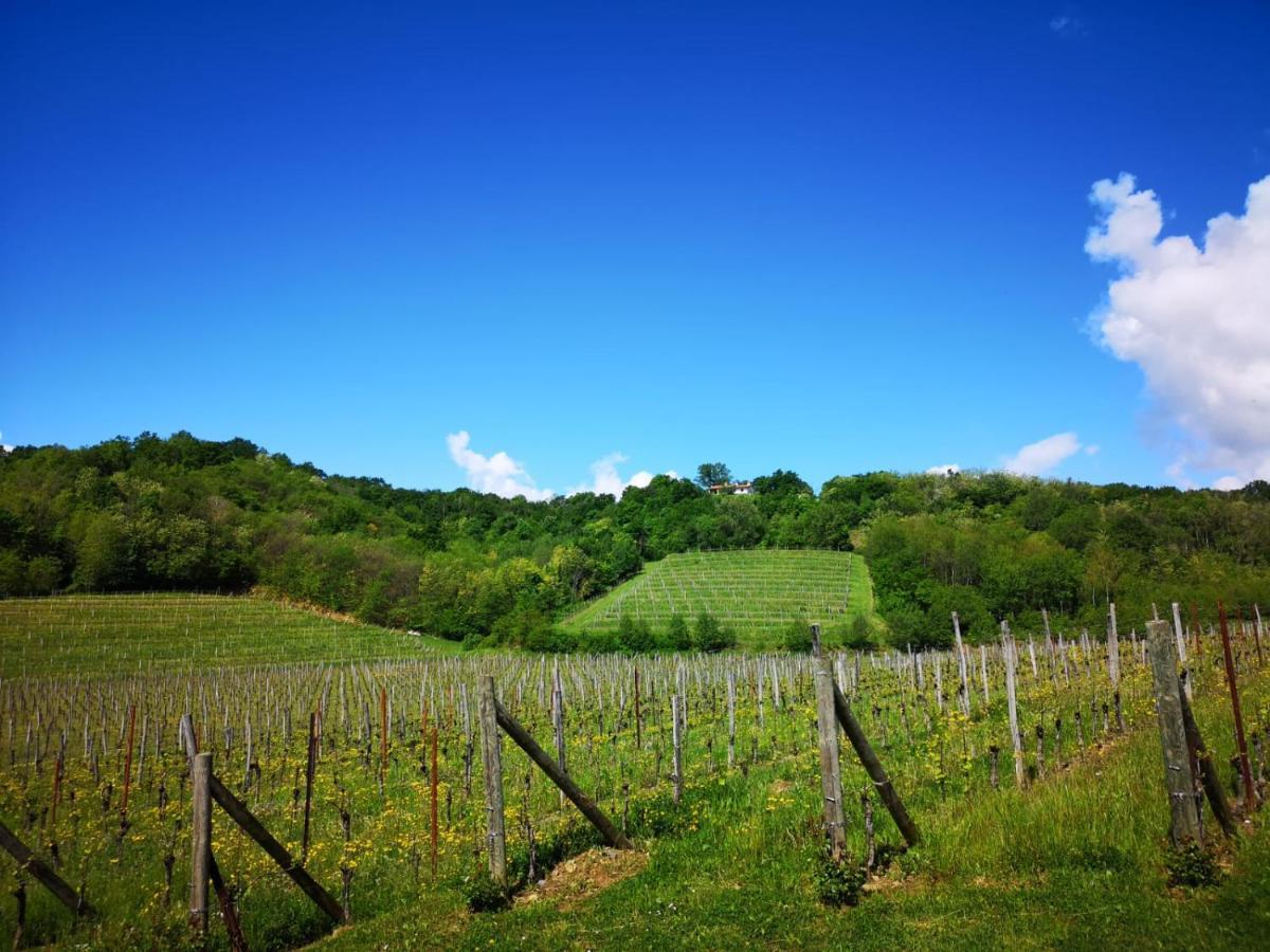 Il Roncal Wine Resort - For Wine Lovers ชิวีดาเล เดล ฟรีอูลี ภายนอก รูปภาพ