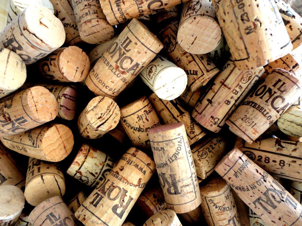 Il Roncal Wine Resort - For Wine Lovers ชิวีดาเล เดล ฟรีอูลี ภายนอก รูปภาพ