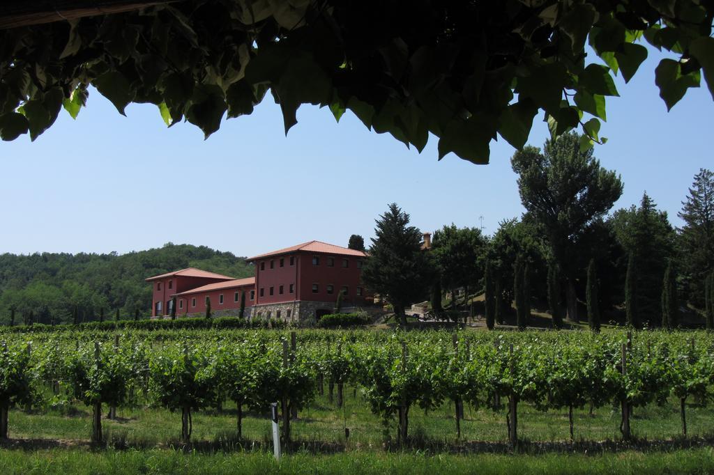 Il Roncal Wine Resort - For Wine Lovers ชิวีดาเล เดล ฟรีอูลี ภายนอก รูปภาพ