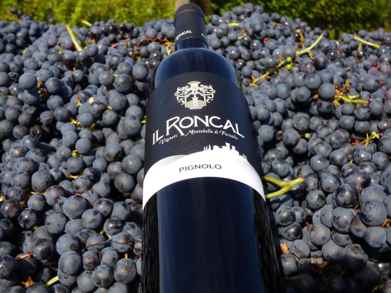 Il Roncal Wine Resort - For Wine Lovers ชิวีดาเล เดล ฟรีอูลี ภายนอก รูปภาพ