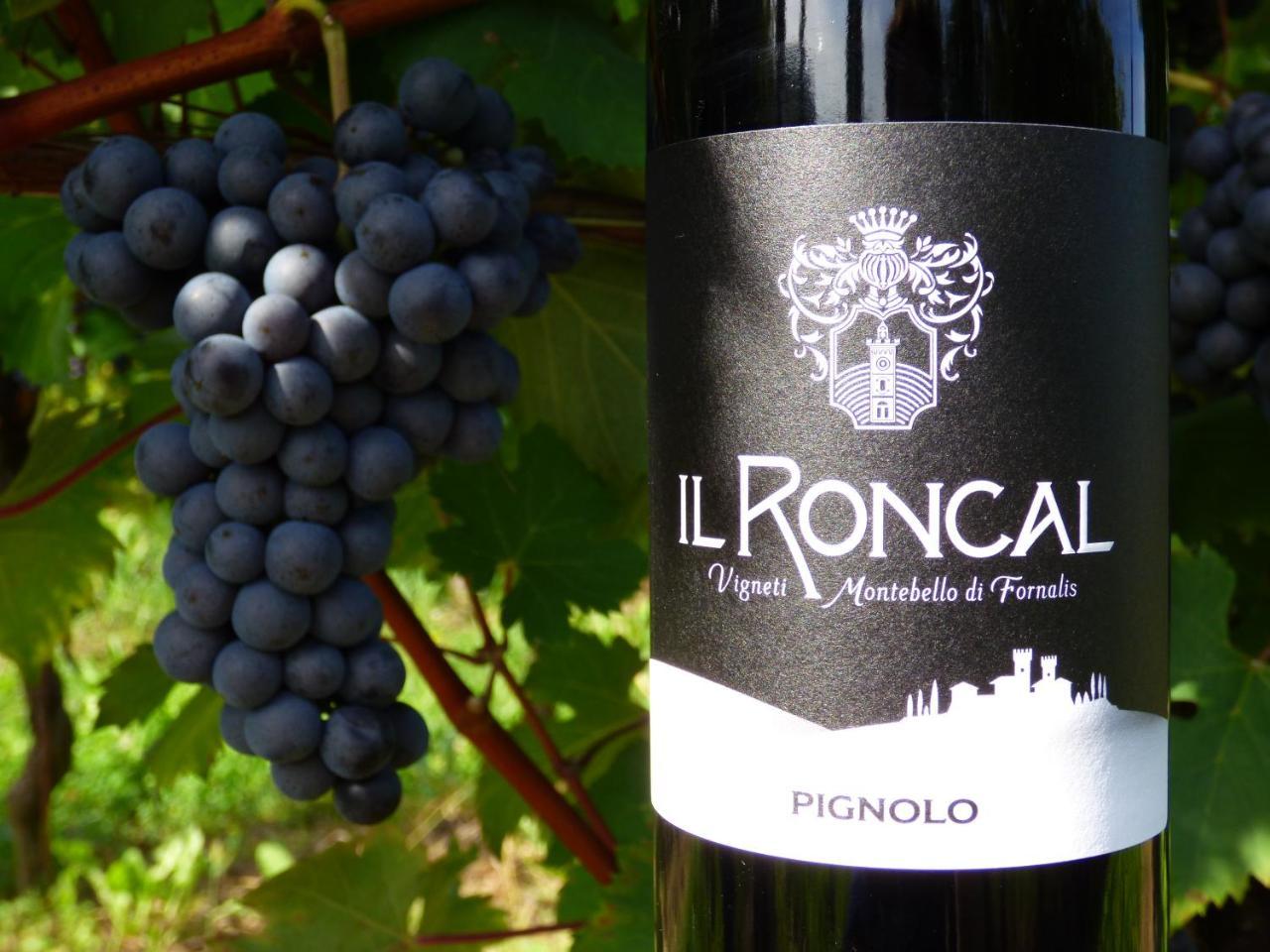 Il Roncal Wine Resort - For Wine Lovers ชิวีดาเล เดล ฟรีอูลี ภายนอก รูปภาพ